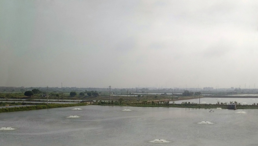 Фото 2. Типичный рыбоводный пруд в окрестностях Шанхая